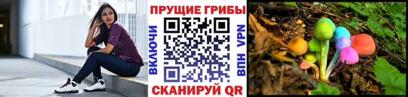 Псилоцибиновые грибы GOLDEN TEACHER  Сольцы 