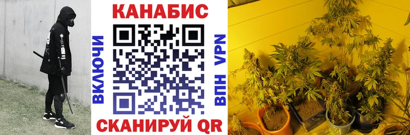 Марихуана White Widow  Сольцы 